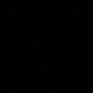 Meet your Posher, Wanda